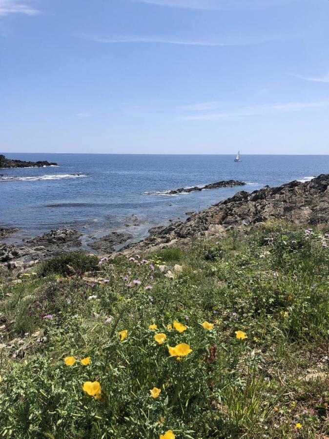 Beachfront Duplex With Terrace And Sea Views - Cadaqués Εξωτερικό φωτογραφία
