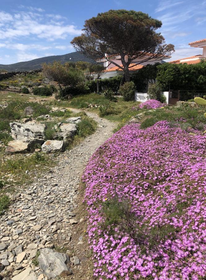 Beachfront Duplex With Terrace And Sea Views - Cadaqués Εξωτερικό φωτογραφία